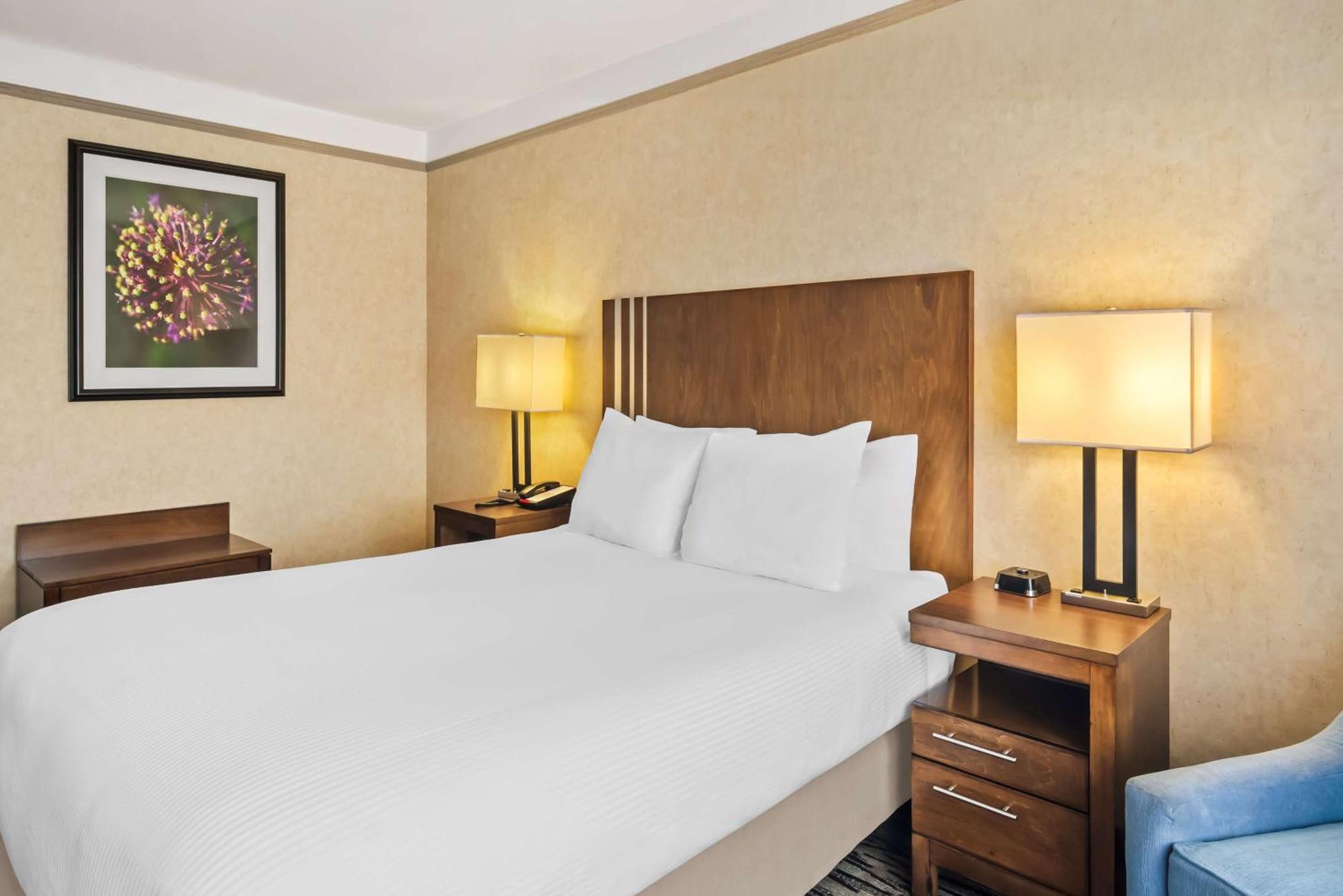 Best Western Plus Pitt Meadows Inn & Suites Экстерьер фото
